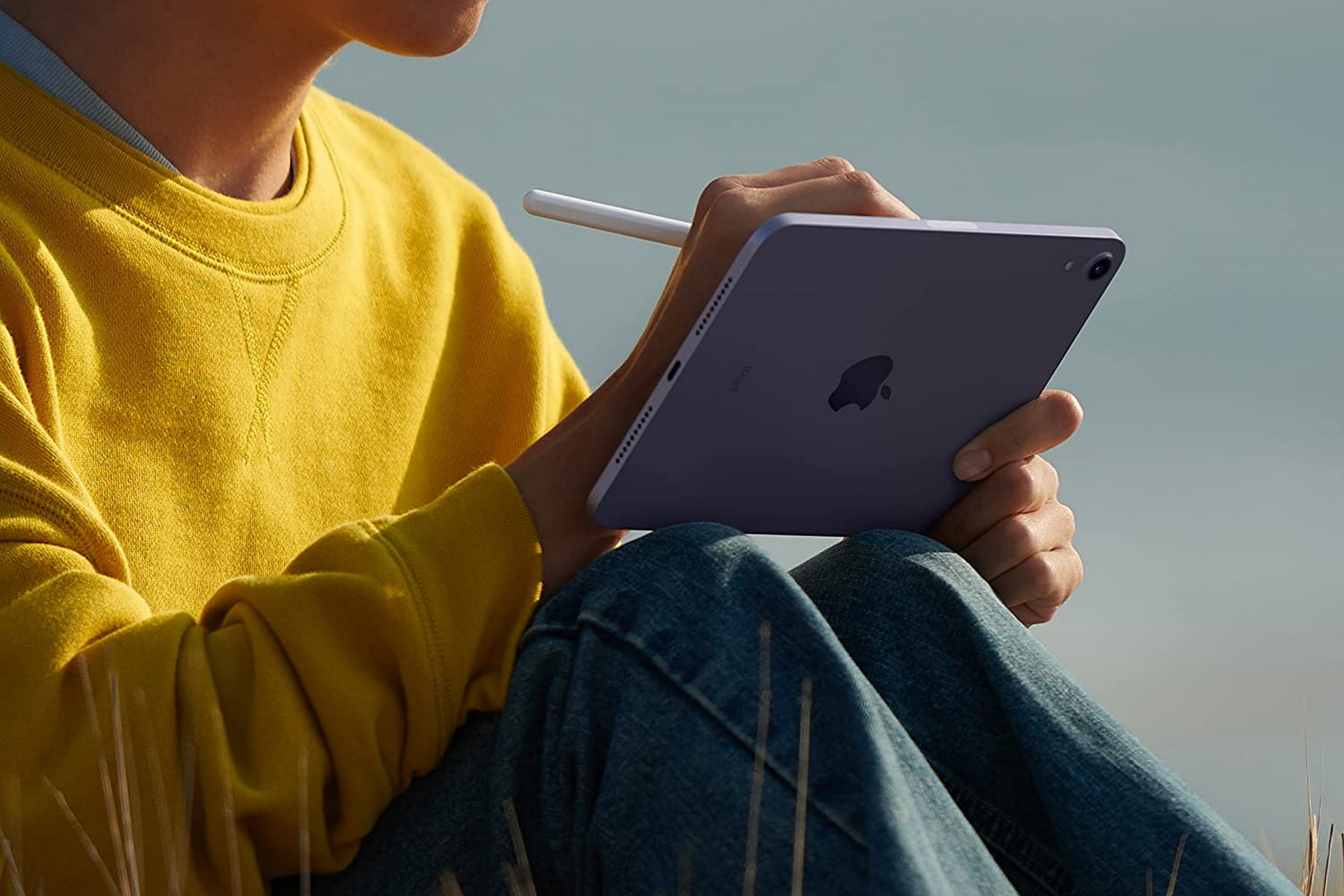 iPad for procreate with apple pencil