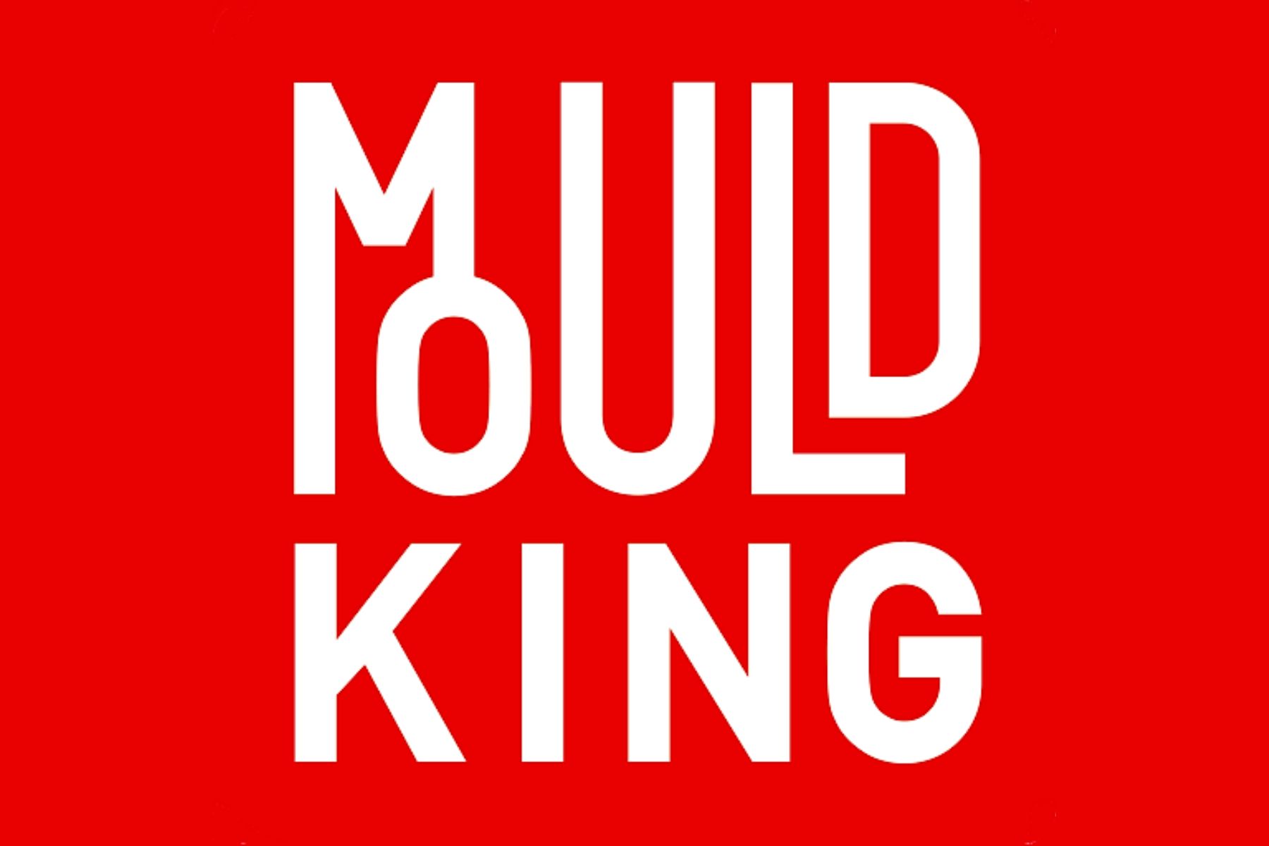 Mould King_Feature Image